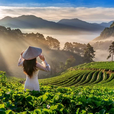 Vietnam